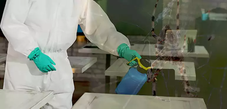 Why Buyers Still Want Homes With Pest Infestations in Syracuse, NY?