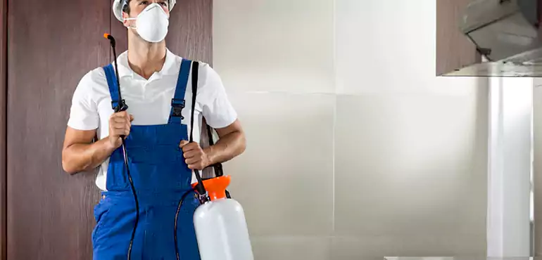 Why Syracuse Homeowners Choose Us When Pests Make Selling Difficult